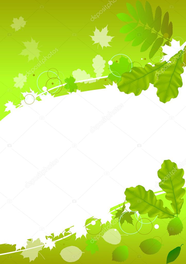 green oak and maple leaves background