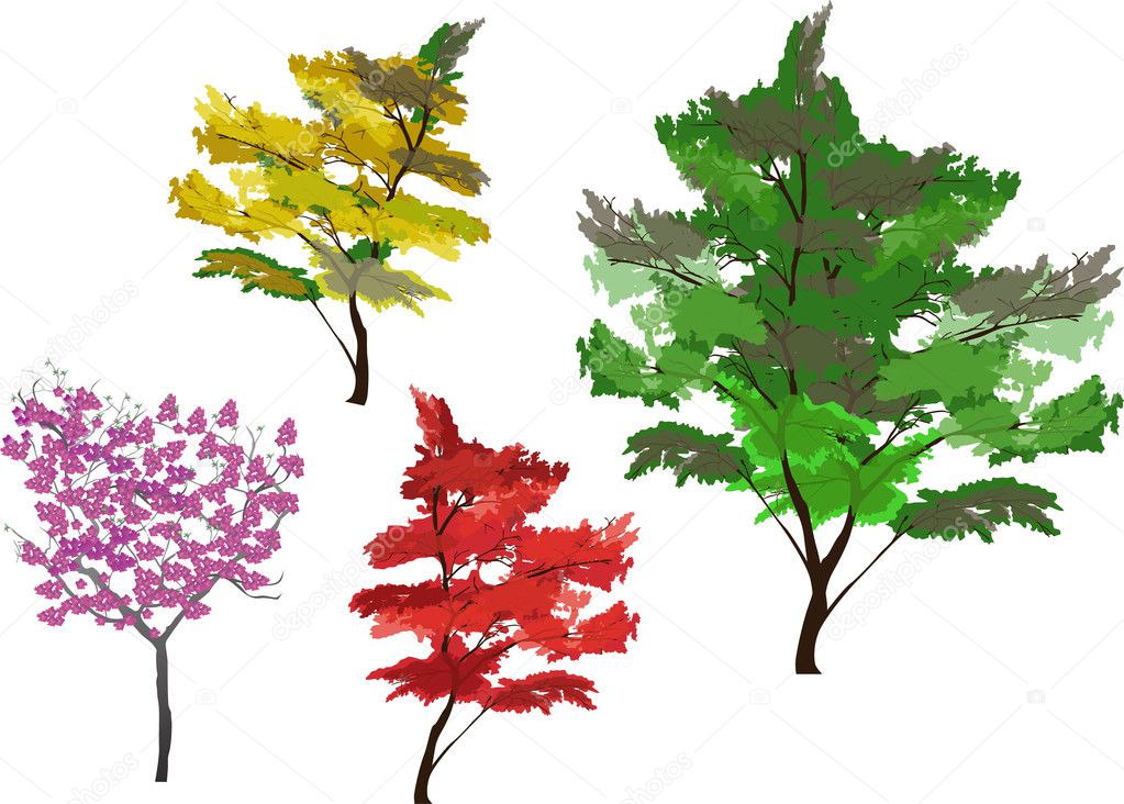 four color trees isolated on white