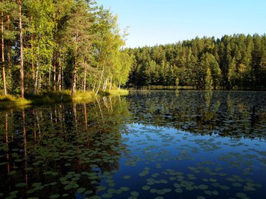 Lake in Finland clipart