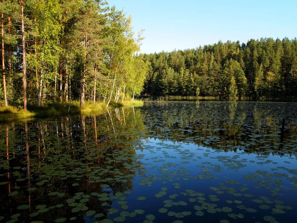 stock image Lake in Finland