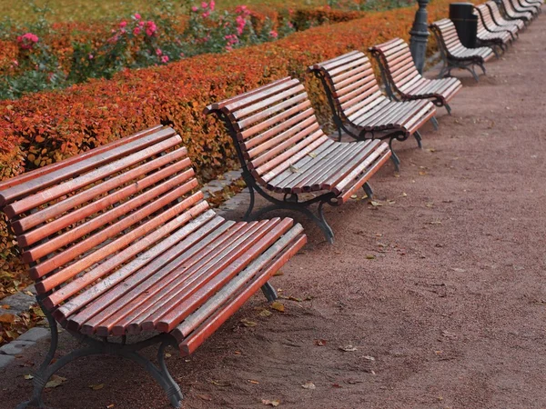 公园条椅 — 图库照片