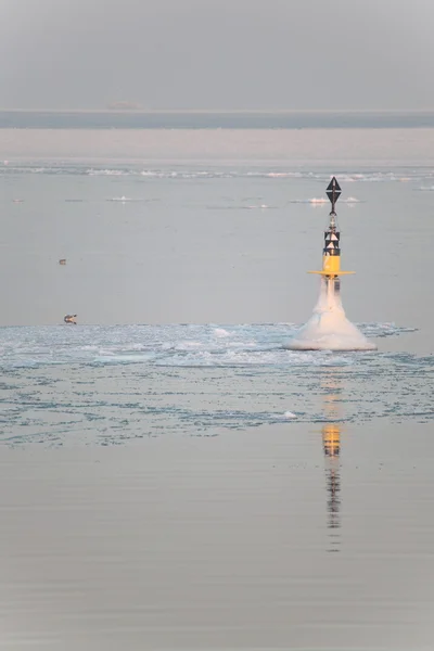 Frozen buoy — Stock Photo, Image