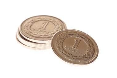 Polish money isolated clipart