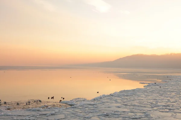 海-冰-大块浮冰上的日落。波兰格丁尼亚 — 图库照片