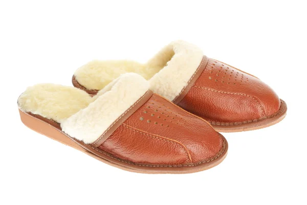 Brown slippers isolated on a white background. — Stock Photo, Image