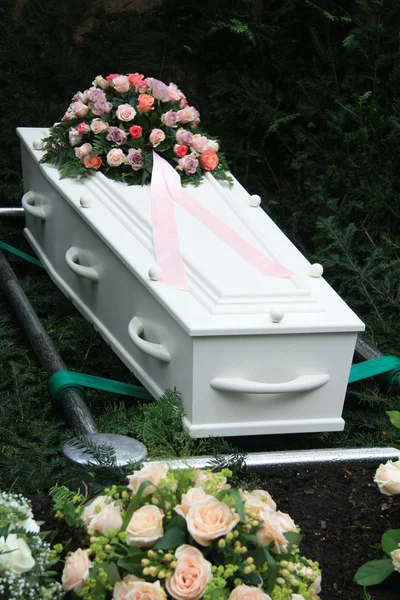 Bara bianca con fiori di simpatia rosa — Foto Stock