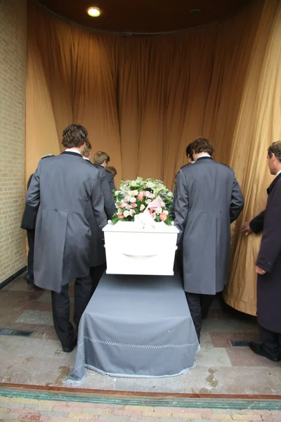 Pogrzeb preparatów — Zdjęcie stockowe