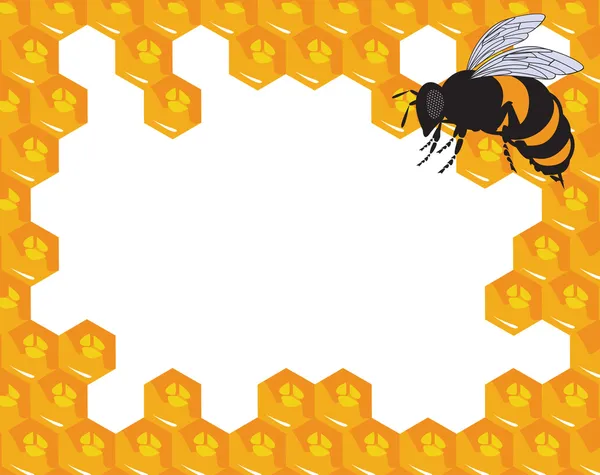 Le api vettoriali e nido d'ape con miele — Vettoriale Stock