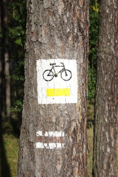 Sinal de caminho de bicicleta na árvore — Fotografia de Stock
