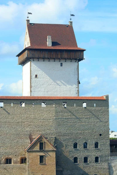 Dlouhé hermann věž na hradě narva — Stock fotografie
