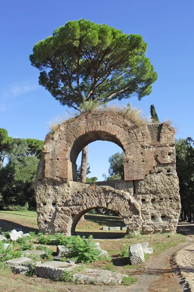 Roma, palatine Tepesi'nde antik kalıntılar — Stok fotoğraf