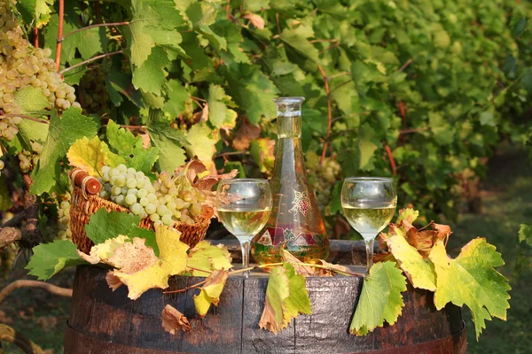 Bílé víno podzimní scéna — Stock fotografie
