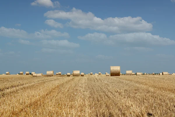 Agriculture field with straw bale — Stock Photo, Image