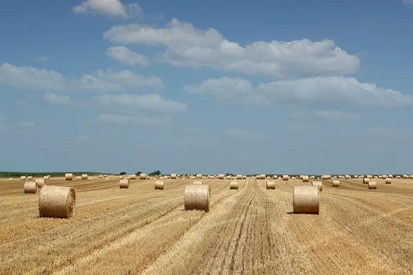 Straw bale field — Stock Photo, Image