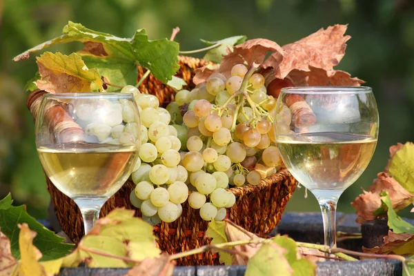 Due bicchieri di vino bianco — Foto Stock