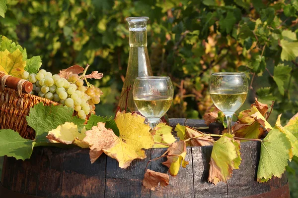 Bílé víno a hroznovou — Stock fotografie