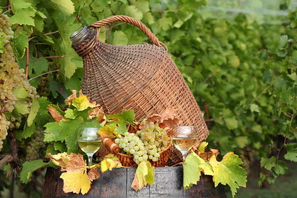 Vinho branco e vinha de uva — Fotografia de Stock