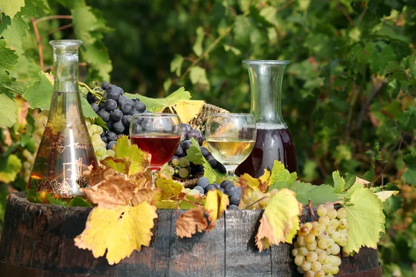 Bílé a červené víno na dřevěný Sud — Stock fotografie