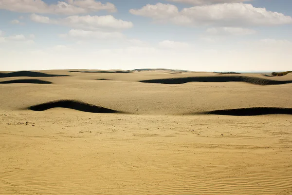 沙漠景观 — 图库照片