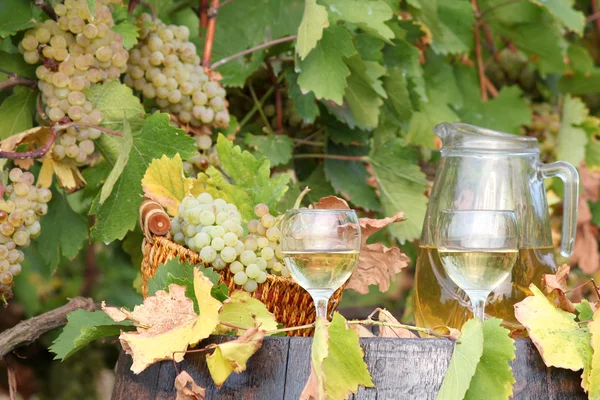 Белый виноград и вино — стоковое фото