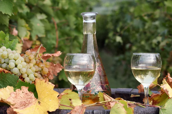 Kieliszki do wina z białym winem — Zdjęcie stockowe