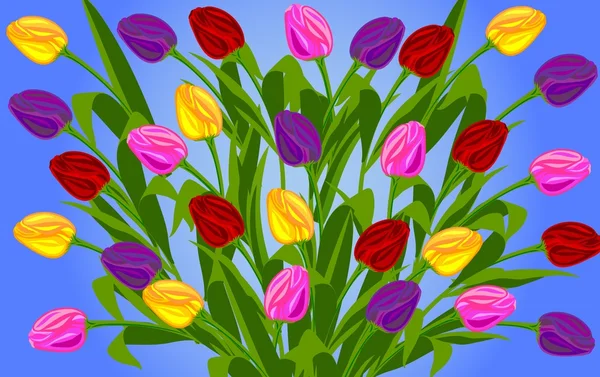 Um bando de tulipas — Fotografia de Stock