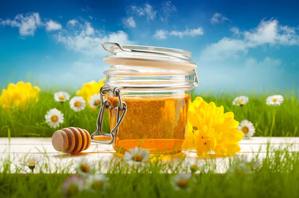 꿀, 봄 꽃의 항아리 — 스톡 사진