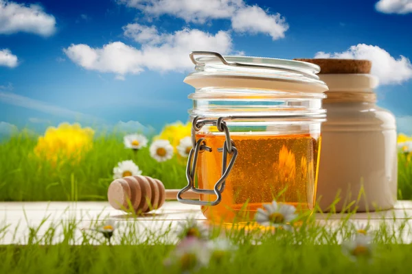 Honey and spring daisy on background — Stock Photo, Image