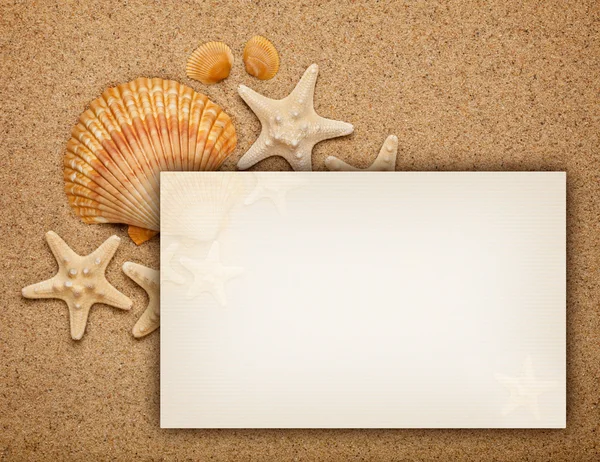 Fundo de verão - conchas em areia e cartão em branco — Fotografia de Stock