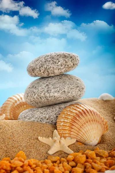 Пляж - Камни и раковины на песке — стоковое фото