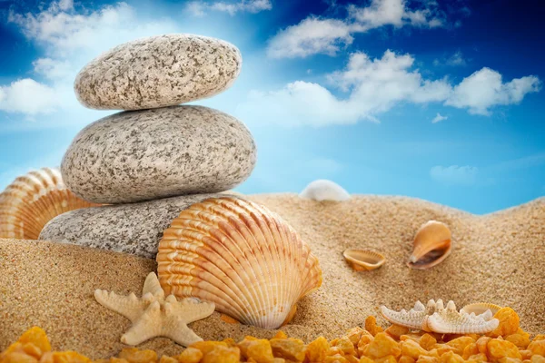 Sumemr pietre da spiaggia e conchiglie — Foto Stock