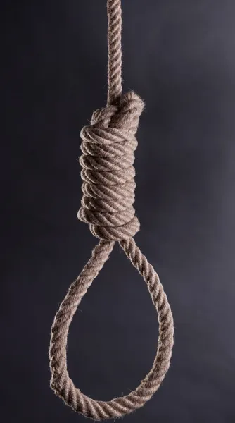 Hi-res hangman's strop — Stockfoto