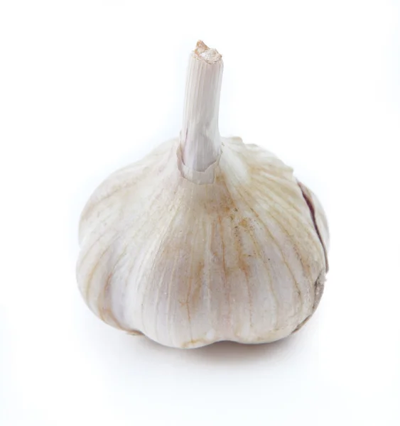 stock image Garlic