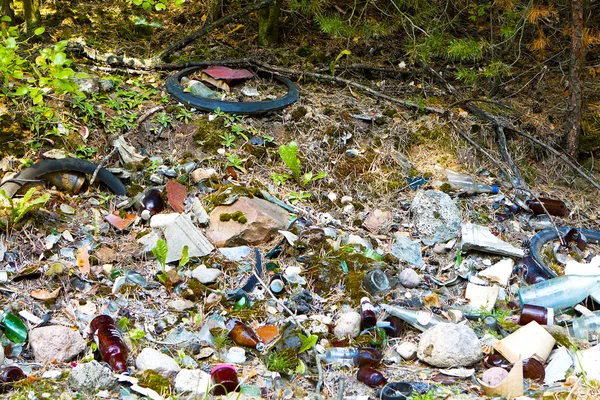 stock image Rubbish in forest, woods.