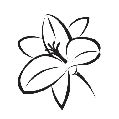 Monochrome illustration of lily clipart