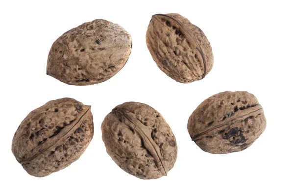 Five major goals walnuts — Stock Photo, Image