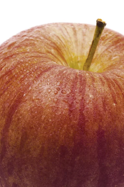 Свежее праздничное яблоко с капельками воды — стоковое фото