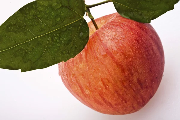 En saftigt rött äpple med lämnar — Stockfoto