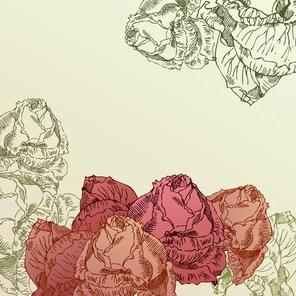 手工绘制的玫瑰 — 图库矢量图片