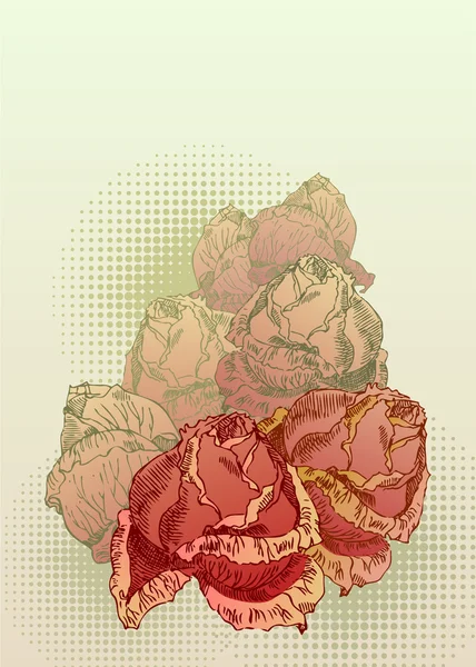 Боку звернено троянд — стоковий вектор