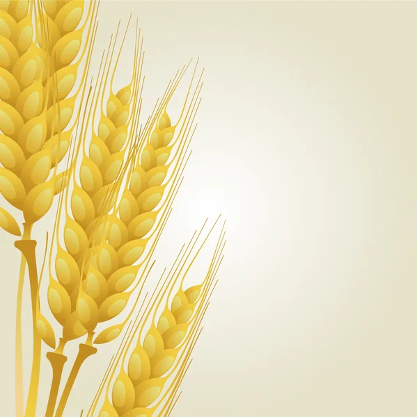 stock vector Wheat on light background