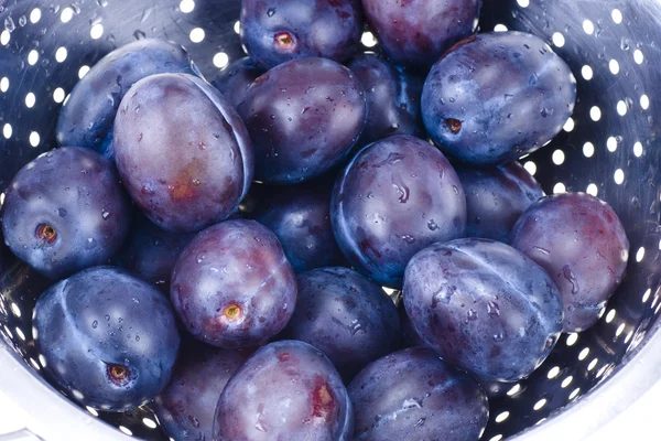 Blue plums in colander — Stock Photo, Image