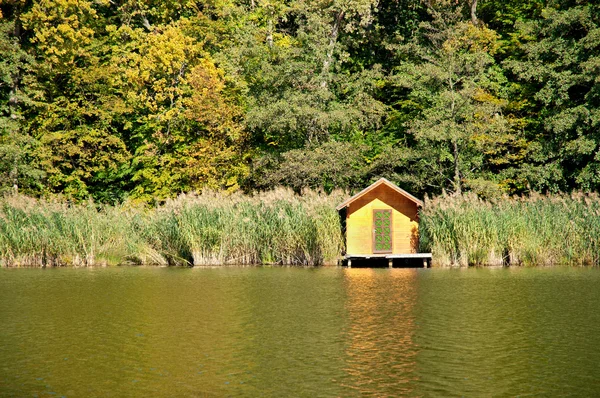 在秋天的森林，匈牙利小湖 — 图库照片