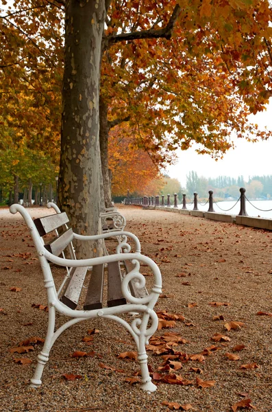 秋には、ハンガリーのバラトン湖遊歩道します。 — ストック写真