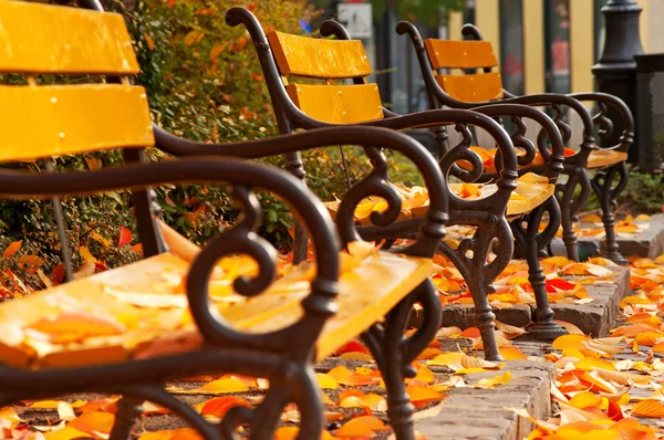 Autumn mood with benches in park — Stock Photo, Image