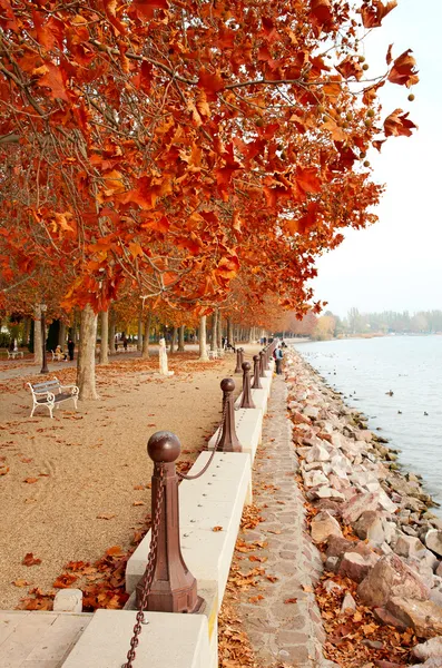 Pięknej promenady nad brzegiem jeziora balaton w jesieni, Węgry — Zdjęcie stockowe