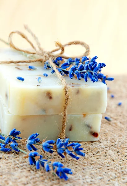 Home-made soap still-life with lavender — Stock Photo, Image