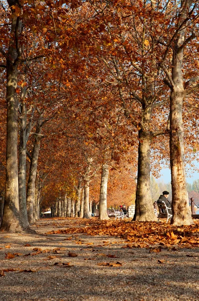 Autumn promenade at Lake Balaton, Hungary — Stock Photo, Image