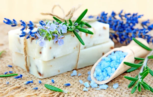 Přírodní mýdlo, byliny a koupelová sůl Stock Fotografie