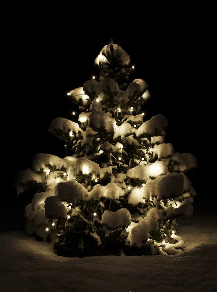 Árbol de Navidad relámpago en la naturaleza —  Fotos de Stock